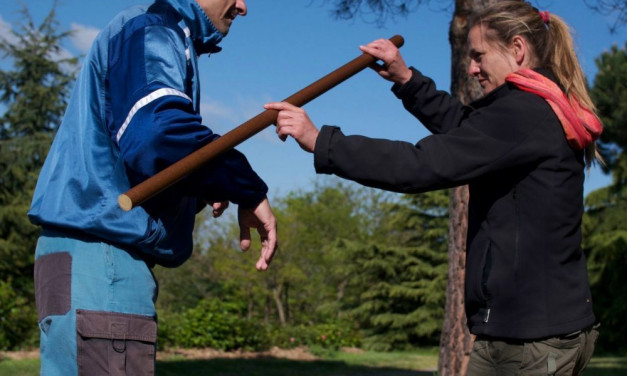 Stage Toulouse – fin avril 2016