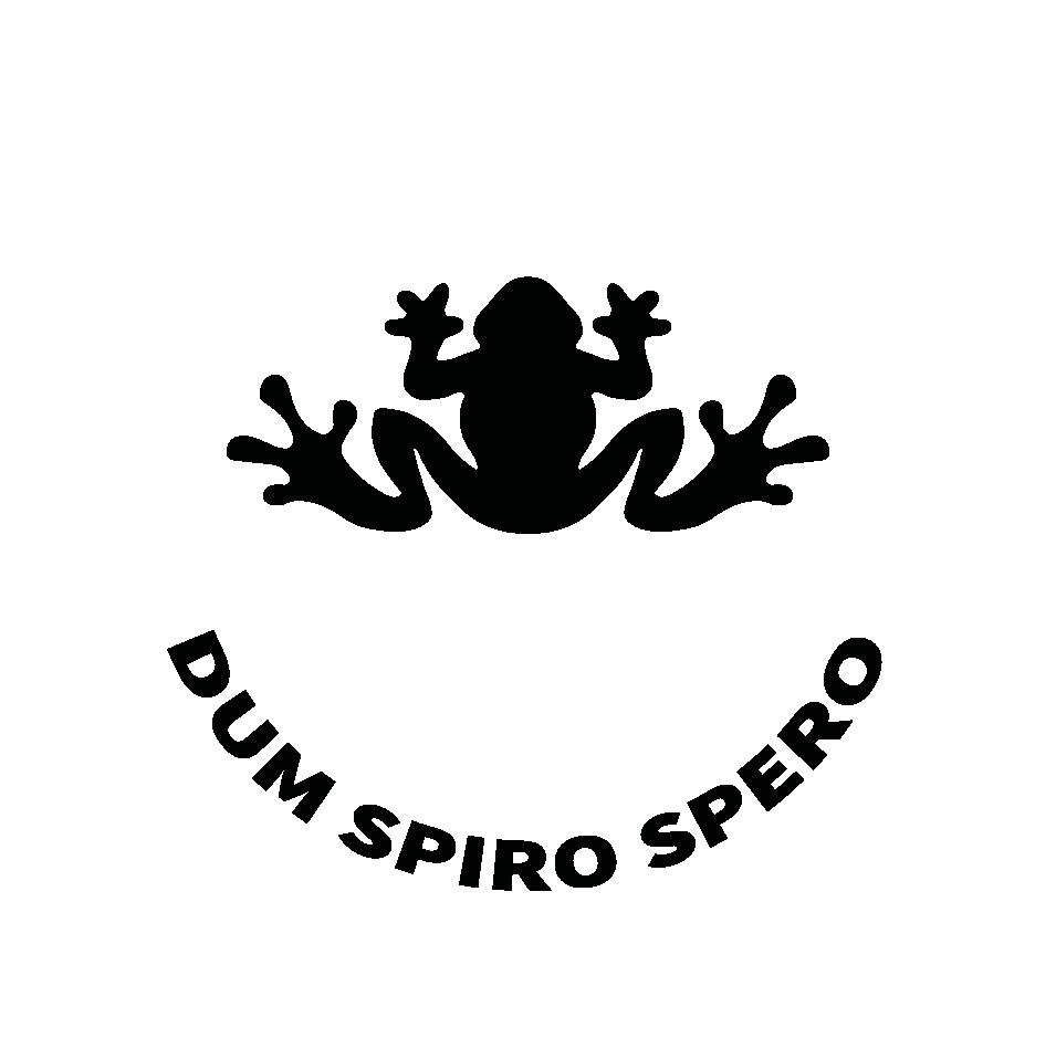 Systema Kadochnikov Colmar