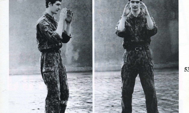 article sorti en 1996