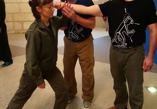 Gros plan sur le stage de Saintes (décembre 2017)