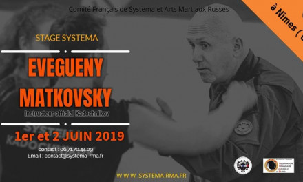 Stage : travail autour des armes 1er et 2 juin 2019