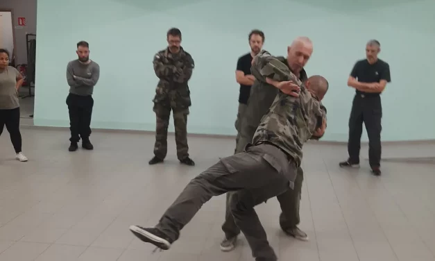 Stage de Systema Kadochnikov à Colmar du 20 au 22 février 2026